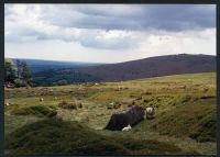 8/29 Above Glascombe Corner to Beacon Rocks 29/5/1991