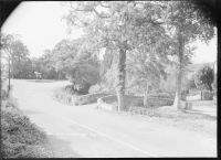 View of Shinners Bridge Np Totnes