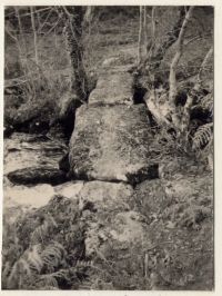 Clapper bridge over the Walla Brook