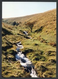 An image from the Dartmoor Trust Archive