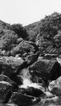 An image from the Dartmoor Trust Archive