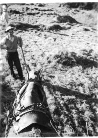 Harvesting at Latchel