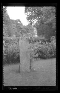 Ogham Stone in Tavistock Vicarage Garden