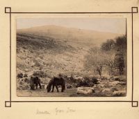 An image from the Dartmoor Trust Archive