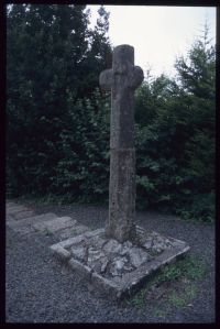 Gulwell cross, Ashburton