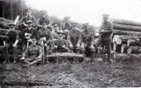 1WW DEVONSHIRE RGIMENT MEN EMPLOYED IN FORESTRY