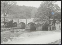 Bridge, Buckfastleigh