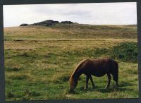 An image from the Dartmoor Trust Archive