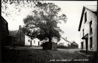 The Cross Tree, South Tawton