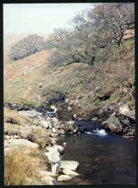 An image from the Dartmoor Trust Archive