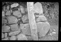 Mortar Stones in Hedge