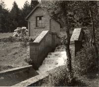 Fernworthy inlet at Trenchford reservoir