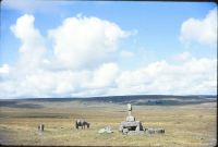 Child's Tomb and Fox Tor mires