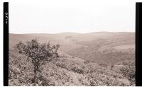 Glazebrook Valley