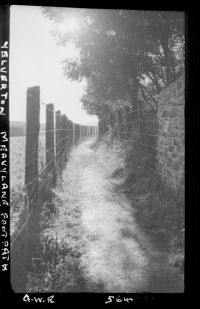 Meavy lane railway path