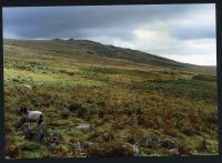 An image from the Dartmoor Trust Archive