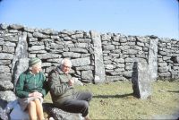 Sheepfold near Postbridge