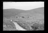 Headland Warren Farm and Hookney Tor