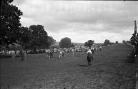 PR2664.151 Chagford show.png