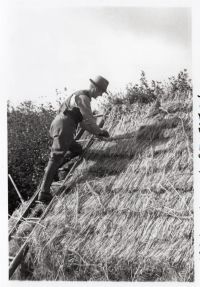 An image from the Dartmoor Trust Archive