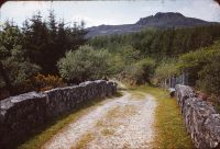 Leather Tor Bridge