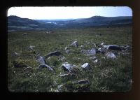 Hut circles looking towards Burrator