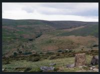 35/30 Middle Brook from Zeal Mill tramway in foreground 22/5/1991