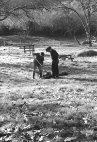 Planting a new apple tree during Lustleigh Apple Day