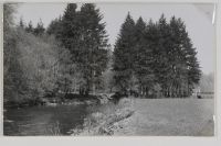 Chain bridge at Bampton