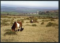 0/17 Shaugh Moor 11/4/1994