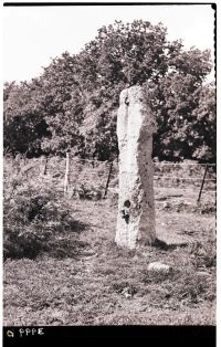 Cholwichtown cross