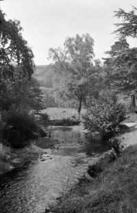 An image from the Dartmoor Trust Archive