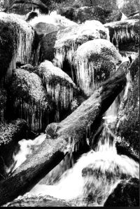 Icicles at Becky Falls