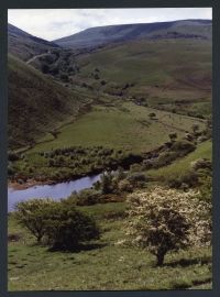 An image from the Dartmoor Trust Archive