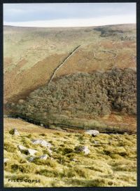 An image from the Dartmoor Trust Archive