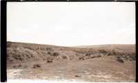 Old Plymouth and Dartmoor Railway embankment on Yennadon Down