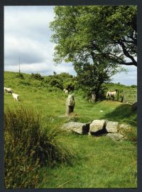 An image from the Dartmoor Trust Archive