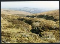 34/10 Middle Brook south Hickley Ridge and Brent Hill 7/3/1991