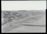 View from Lea Mount, Dawlish