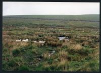 16/32 Track at stream hill ford 16/6/1991