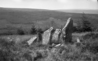 Assycombe stone row, Fernworthy