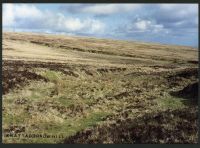 15/8 Below source of Middle Brook to Knattaburrow Hill 7/2/1994