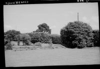 Stonehedges, the Taylor home at Yelverton