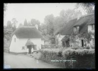 Thatched cottages, Harpford