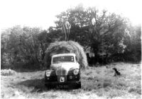 Austin pickup being used for transporting hay at Southcott farm