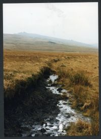 An image from the Dartmoor Trust Archive