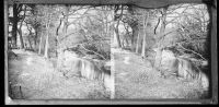 Stereoscopic view of a river