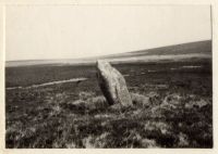 White Moor Stone menhir on White Moor, with Raybarrow Pool in background.