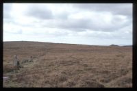 Stone Row on Down Tor