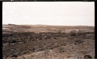 Old Plymouth and Dartmoor Railway embankment on Yennadon Down